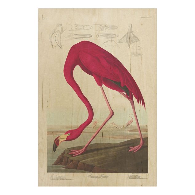 Houten schilderijen Vintage Board American Flamingo