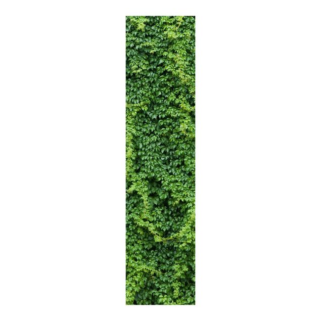 Schuifgordijnen Ivy