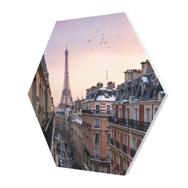 Hexagons Forex schilderijen The Eiffel Tower In The Setting Sun
