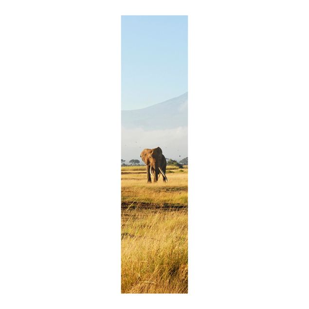 Schuifgordijnen Elephants In Front Of The Kilimanjaro In Kenya