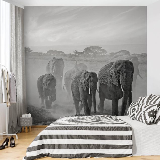 Fotobehang Herd Of Elephants