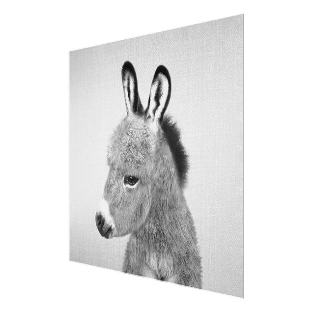 Glasschilderijen - Donkey Ernesto Black And White