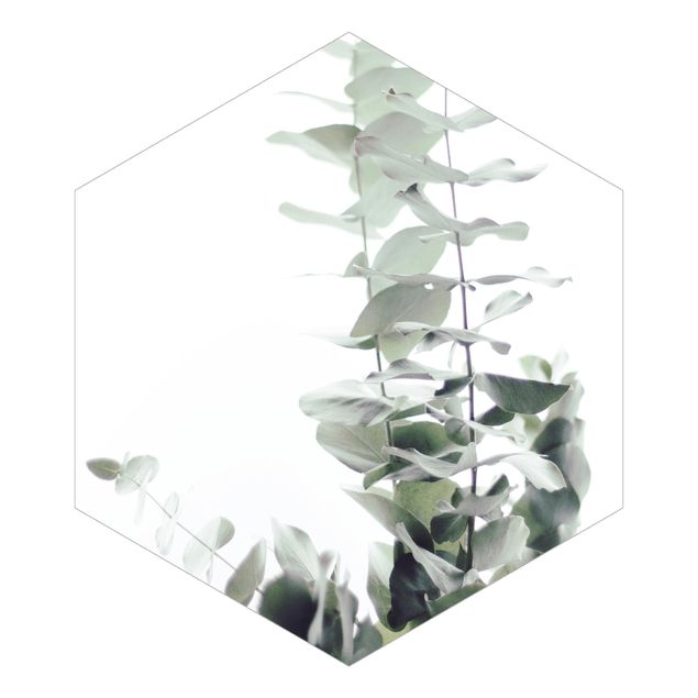 Hexagon Behang Eucalyptus In White Light