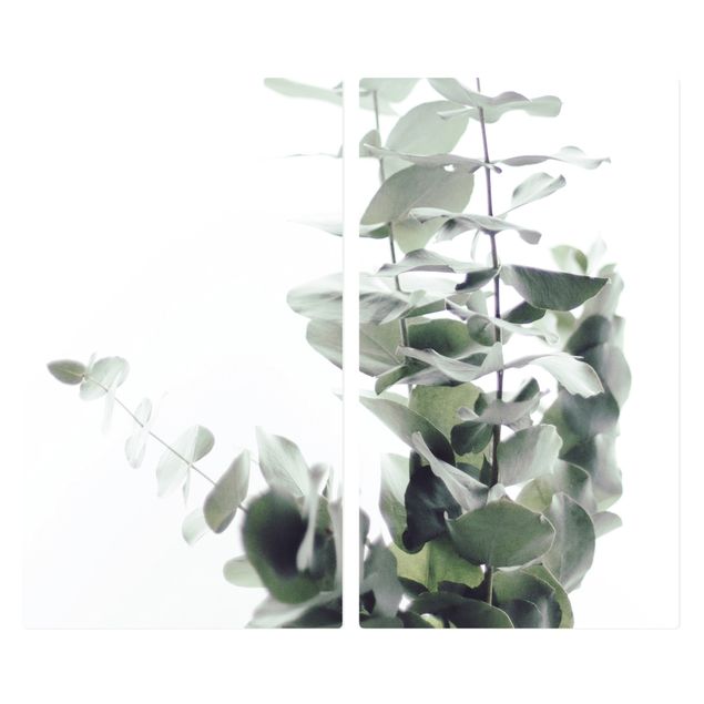 Kookplaat afdekplaten Eucalyptus In White Light