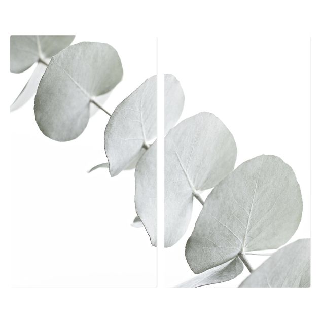 Kookplaat afdekplaten Eucalyptus Branch In White Light