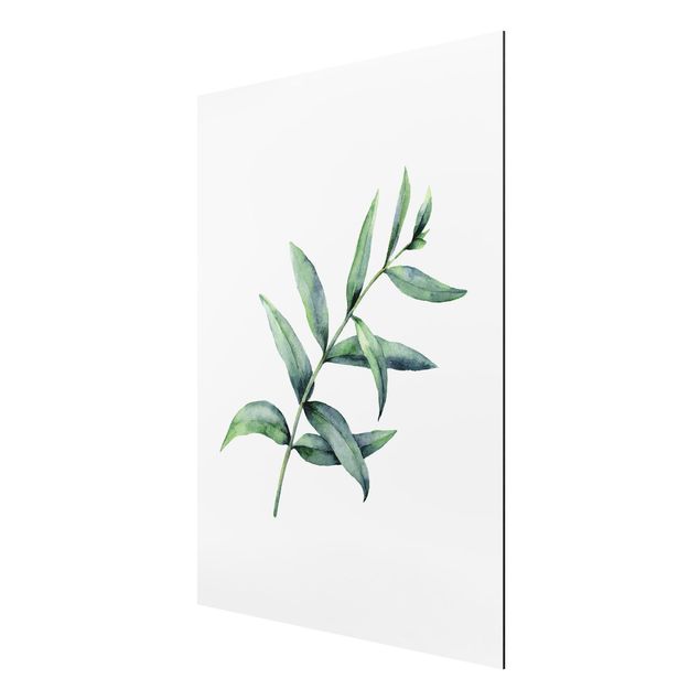 Aluminium Dibond schilderijen Waterclolour Eucalyptus l