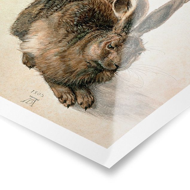 Posters Albrecht Dürer - Young Hare
