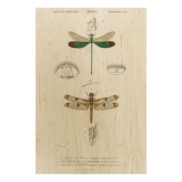 Houten schilderijen Vintage Board Dragonflies