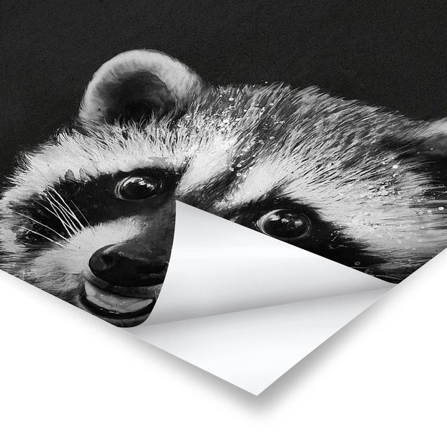 Posters Illustration Racoon Black And White Painting