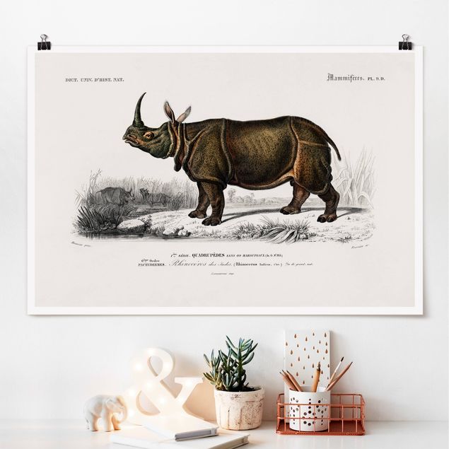 Posters Vintage Board Rhino