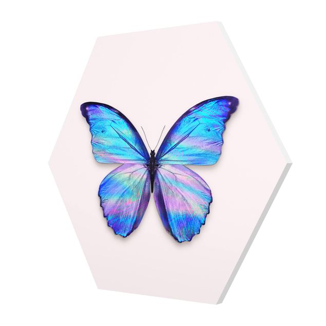 Hexagons Forex schilderijen Holographic Butterfly