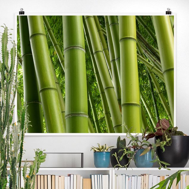 Posters Bamboo Trees No.2