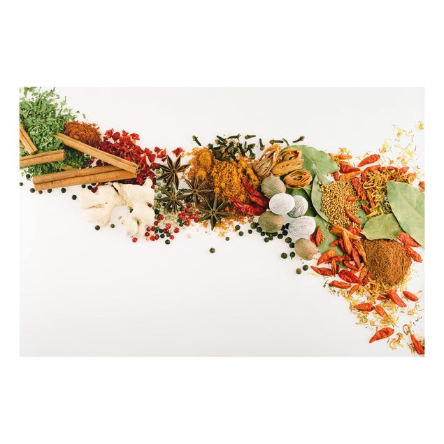 Spatscherm keuken Spices And Dried Herbs