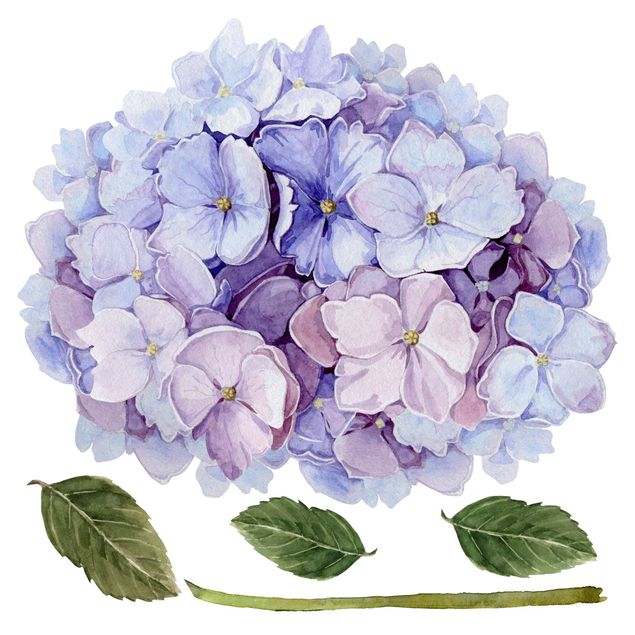 Muurstickers Watercolour Hydrangea Blue Bloom XXL