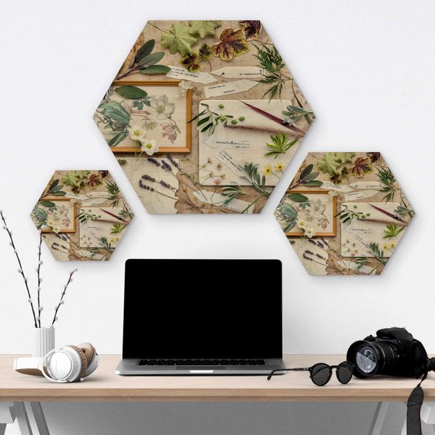Hexagons houten schilderijen Flowers And Garden Herbs Vintage
