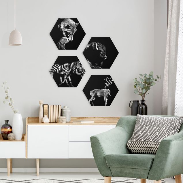 Hexagons Forex schilderijen - 4-delig Wild Animals From Black Set II