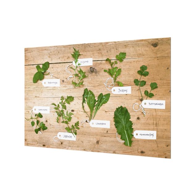 Spatscherm keuken Herbs With Labeling