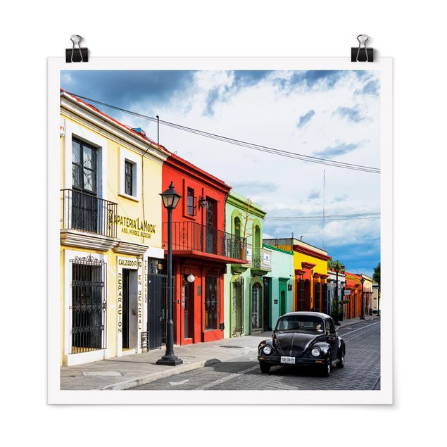 Posters Colourful Facades Black Beetle