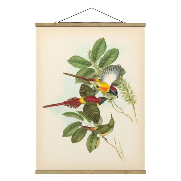 Stoffen schilderij met posterlijst Vintage Illustration Tropical Birds III