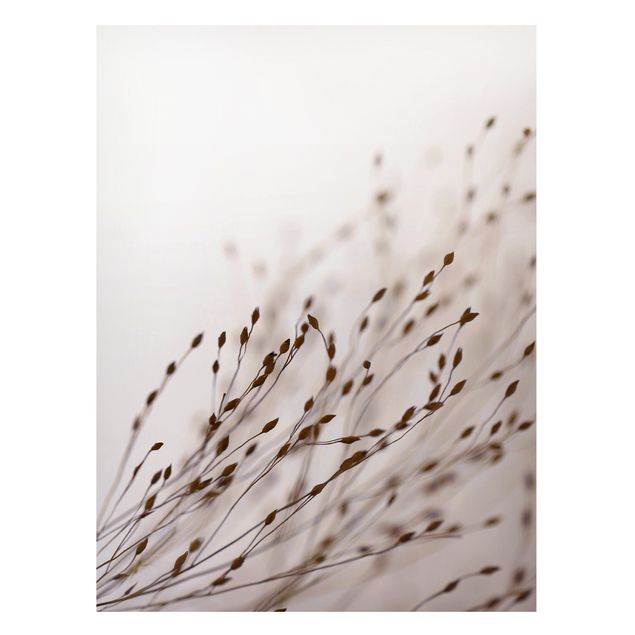 Magneetborden Soft Grasses In Slipstream