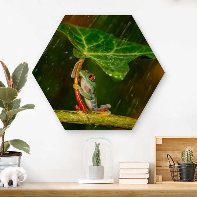 Hexagons houten schilderijen Frog In The Rain