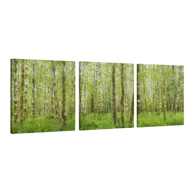 Canvas schilderijen - 3-delig Hoh Rainforest Olympic National Park