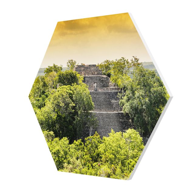 Hexagons Forex schilderijen Pyramid of Calakmul