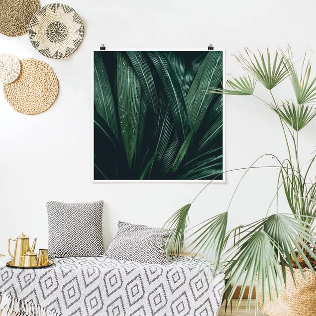 Posters Green Palm Leaves