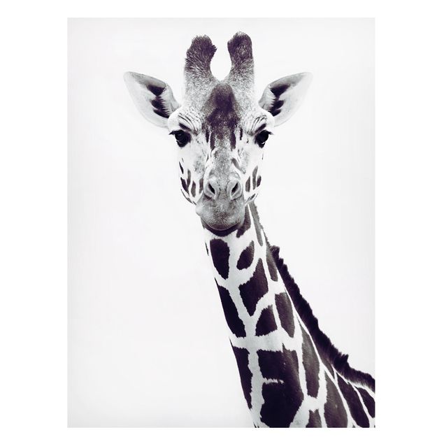 Magneetborden Giraffe Portrait In Black And White