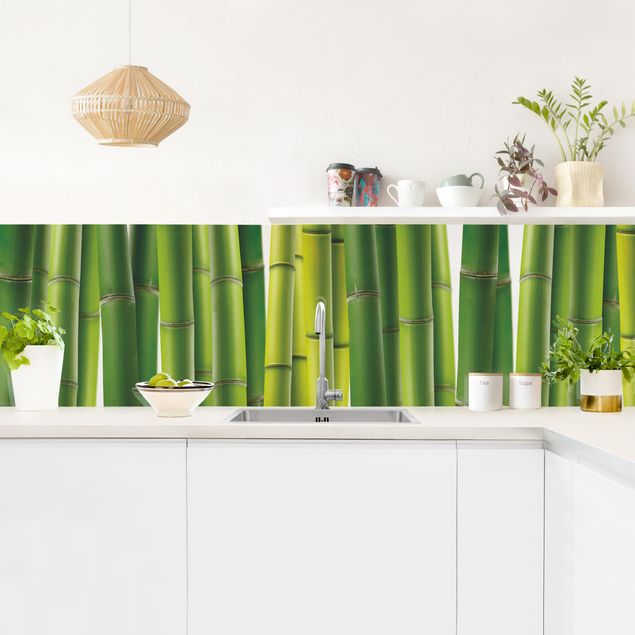 Achterwand voor keuken Bamboo Plants II