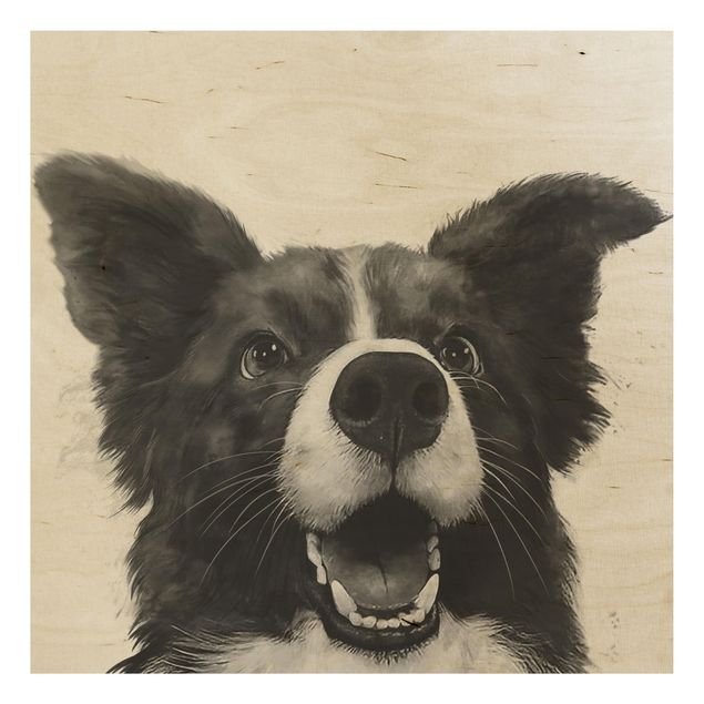 Houten schilderijen Illustration Dog Border Collie Black And White Painting