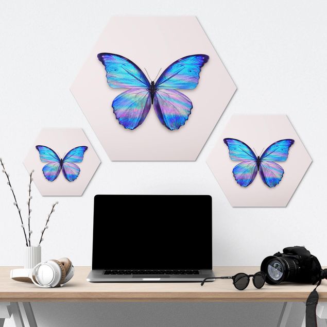 Hexagons Aluminium Dibond schilderijen Holographic Butterfly