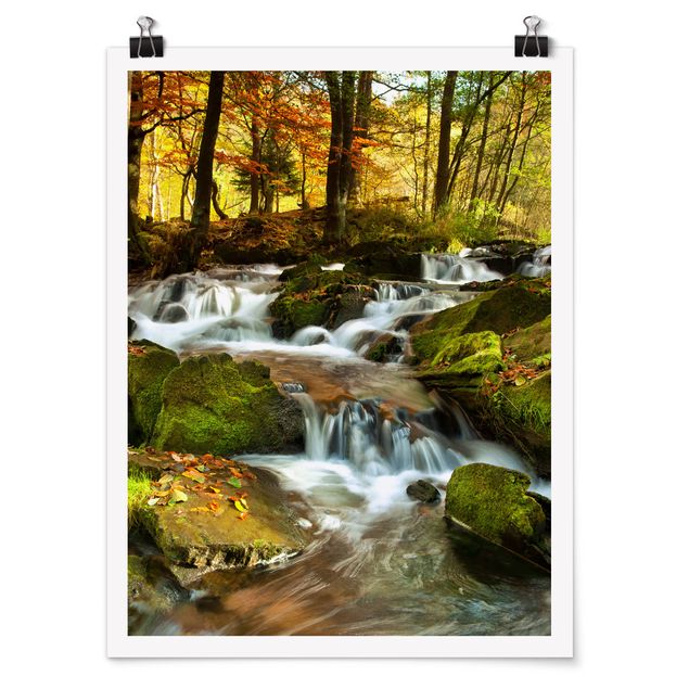 Posters Waterfall Autumnal Forest
