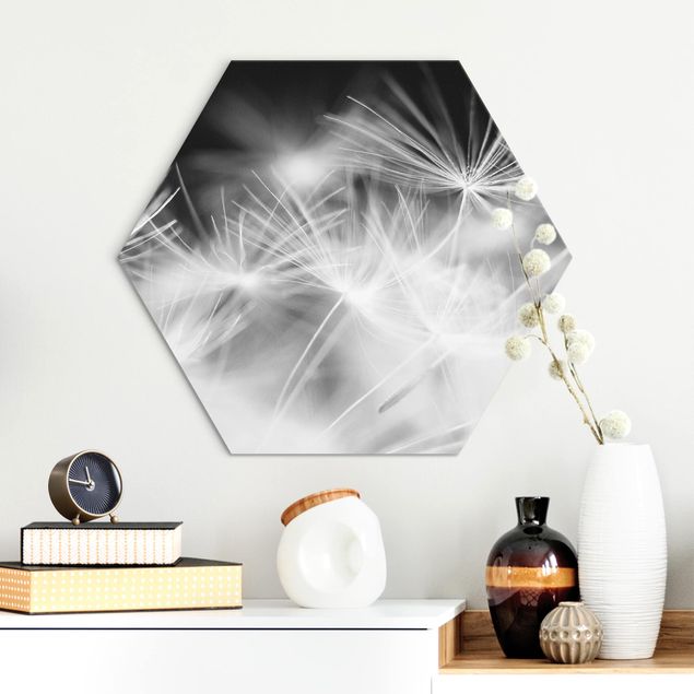 Hexagons Aluminium Dibond schilderijen Moving Dandelions Close Up On Black Background