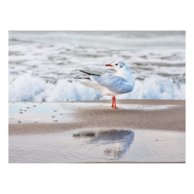 Forex schilderijen Seagull On The Beach In Front Of The Sea