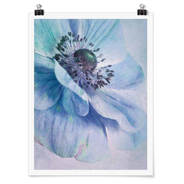 Posters Flower In Turquoise