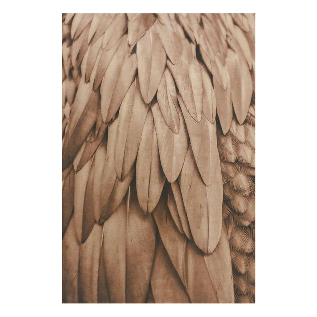 Houten schilderijen Feathers In Rosegold