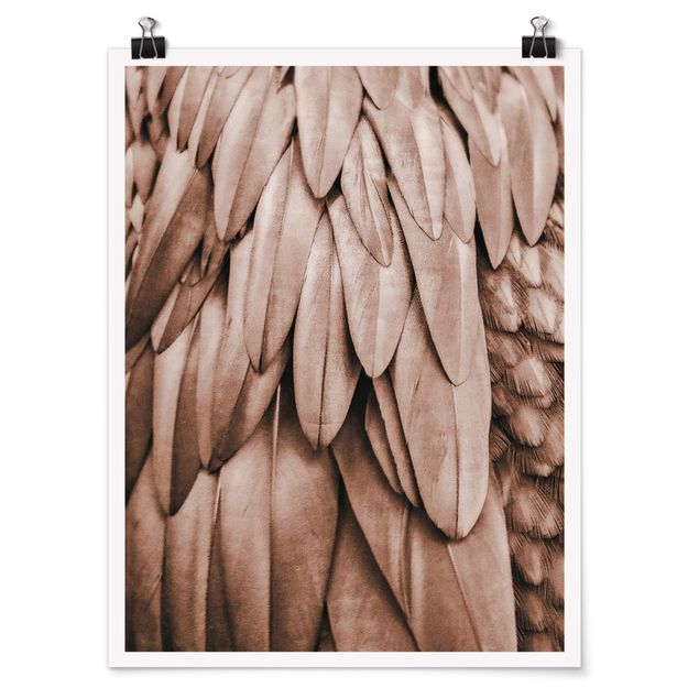 Posters Feathers In Rosegold