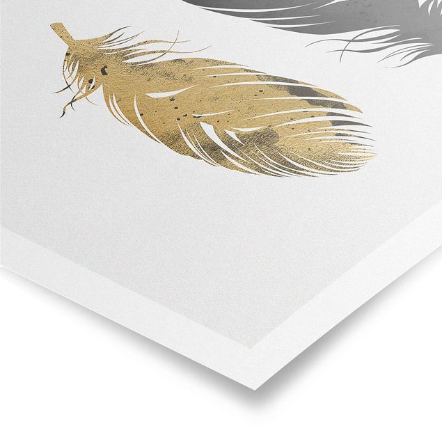 Posters Feathers