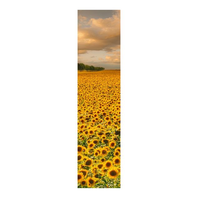 Schuifgordijnen Field With Sunflowers