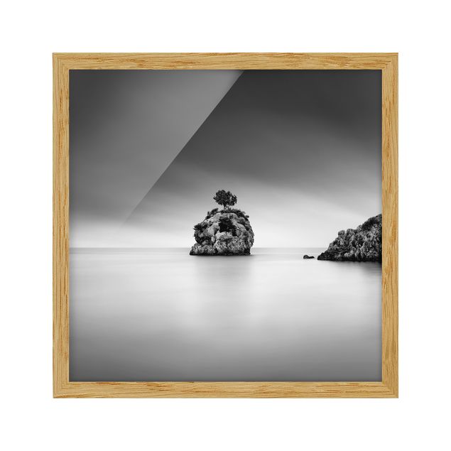 Ingelijste posters Rocky Island In The Sea Black And White