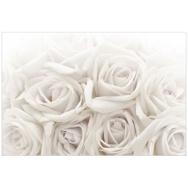 Raamfolie White Roses