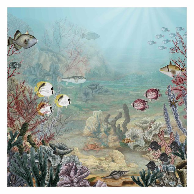 Fotobehang - View from afar in the coral reef