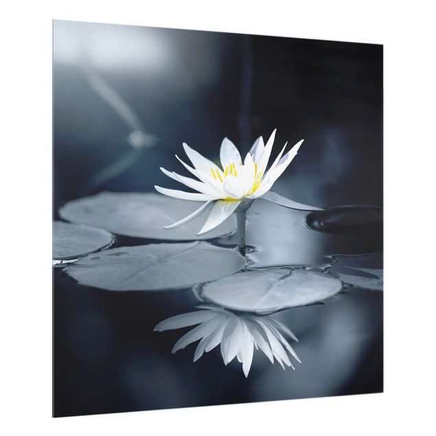 Spatscherm keuken Lotus Reflection In The Water