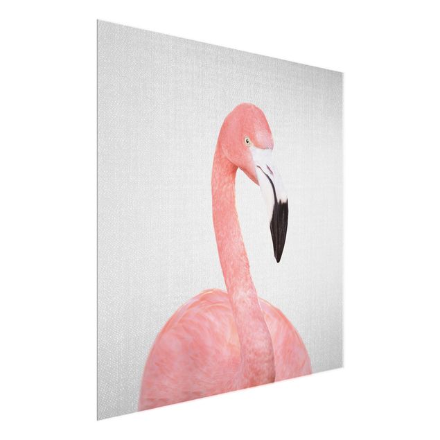 Glasschilderijen - Flamingo Fabian