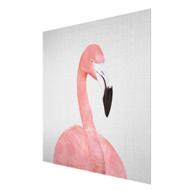 Glasschilderijen - Flamingo Fabian