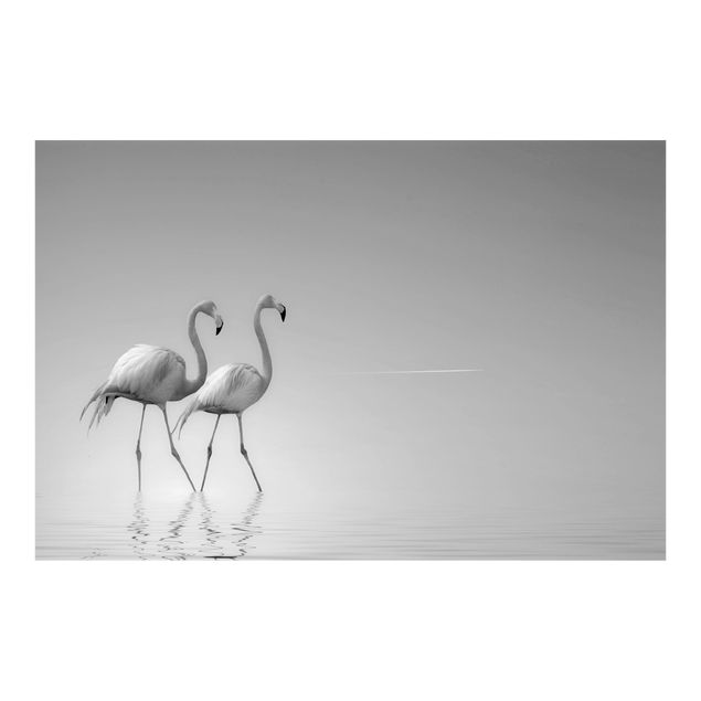Fotobehang Flamingo Love Black And White