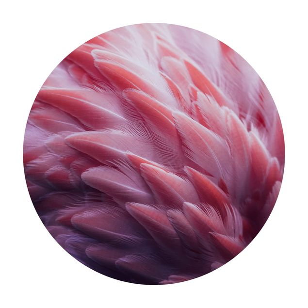 Vloerkleed natuur Flamingo Feathers Close-Up