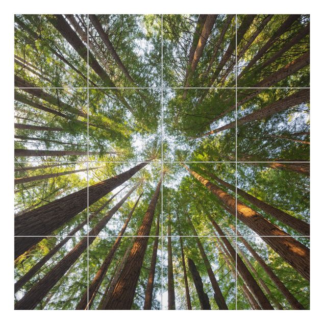 Tegelstickers Sequoia Tree Tops