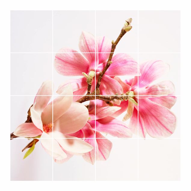 Tegelstickers Magnolia Blossoms